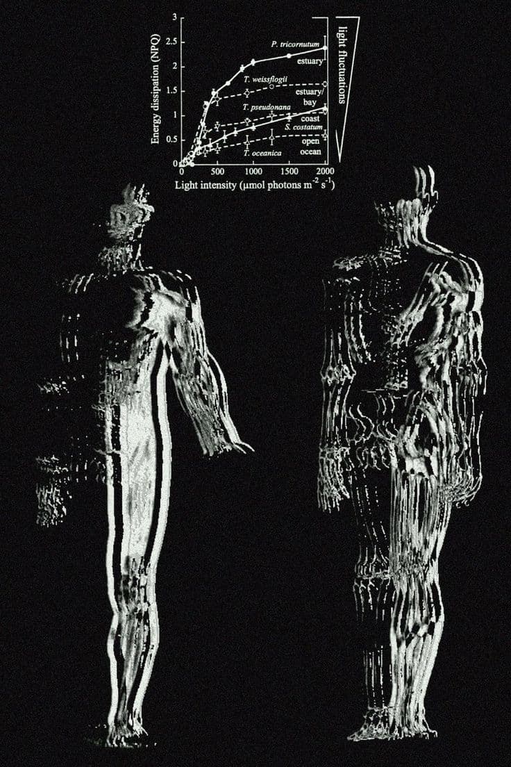 image sequence